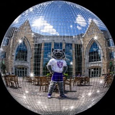 Tommie Mascot