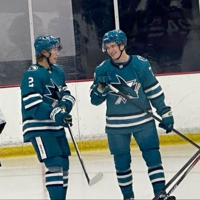 two.baby.sharks