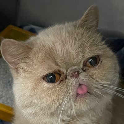 unclepudgy