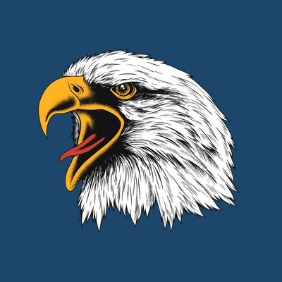 USA 🇺🇸