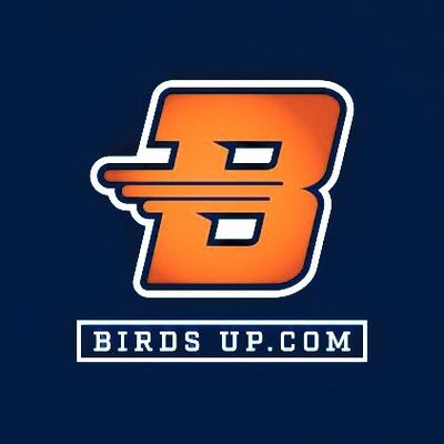 BirdsUp.com