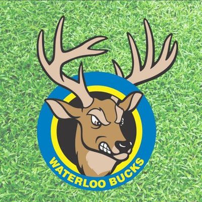 Waterloo Bucks