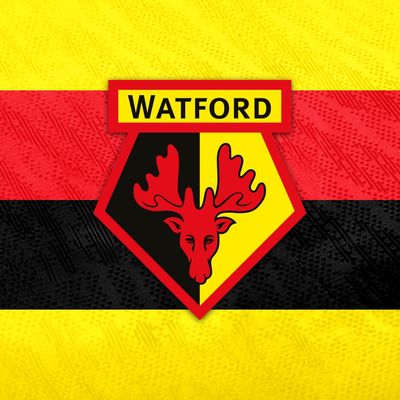 Watford FC Academy
