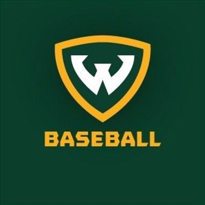 Wayne State University Baseball