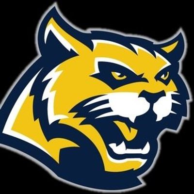 Wheeler High School Basketball