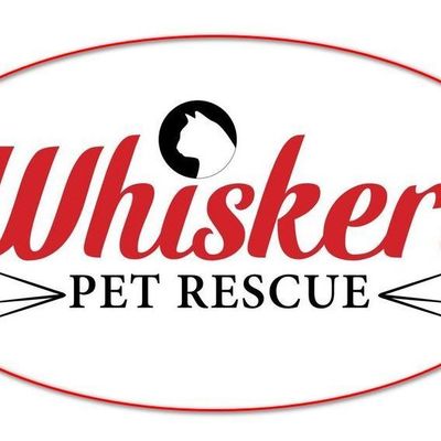 Whiskers Pet Rescue