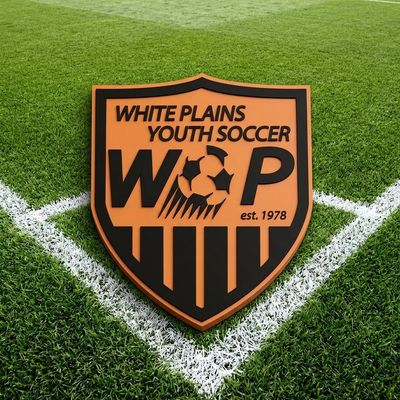 WPYS / SOCCER ACADEMY