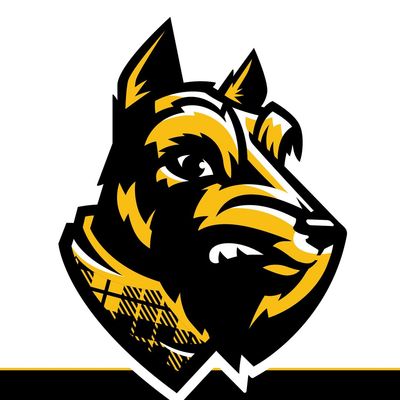 Wooster Mens Golf Team