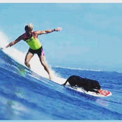 World Dog Surfing