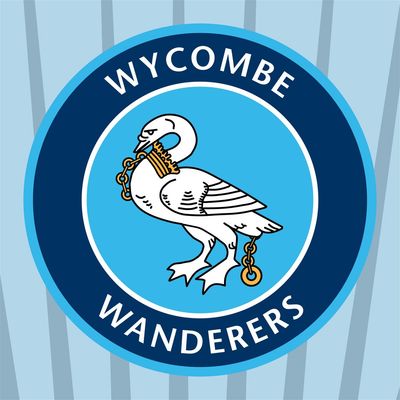 Wycombe Wanderers Academy