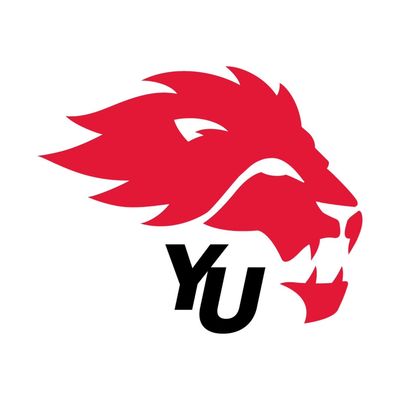 yorkulions