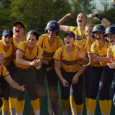 gorloksoftball