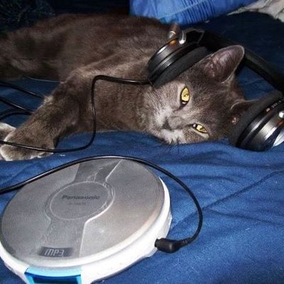 hillnationsounds