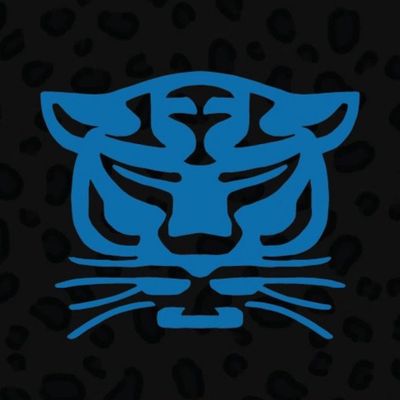 Birmingham Panthers Netball