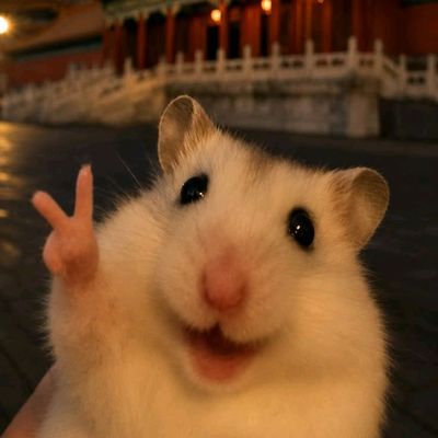 test4te
