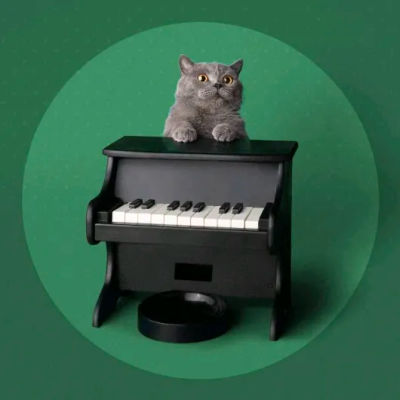 The Pet Piano 🐕 🐈