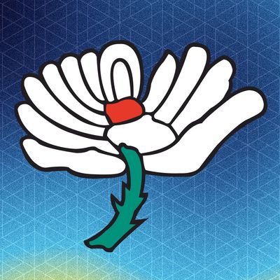 Yorkshire County Cricket Club