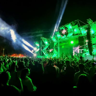 Young Island Festival