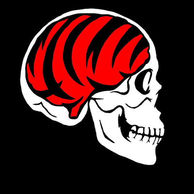 Bengals On The Brain