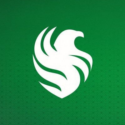 Falcons Esports