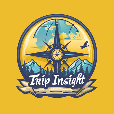 Trip Insight