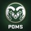 CSU Golden Poms