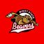 Minot State Men's Hockey