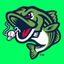 Gwinnett Stripers