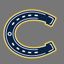 Casteel Colts Baseball