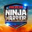 Ninja Warrior