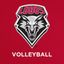 New Mexico Volleyball