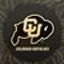 Colorado Buffaloes