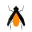 Project Firefly