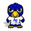 The Bird