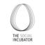 Asociatia The Social Incubator
