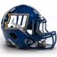 Averett Football