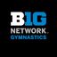 Big Ten Gymnastics