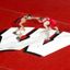 Wisconsin Wrestling