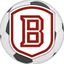 Bradley Soccer