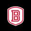 Bradley Volleyball