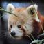 Brandywine Zoo