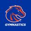 Boise State Gymnastics