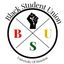 The Black Student Union at UH