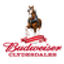 Budweiser Clydesdales