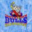 Smithtown Bulls Varsity Ice Hockey