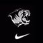 Bentonville Football