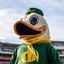 Call Me a Duck