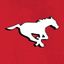 Calgary Stampeders