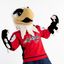 Slapshot