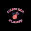Carolina Flames Basketball